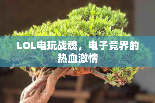 LOL电玩战魂,电子竞界的热血激情 LOL电玩战魂,电子竞界的热血激情