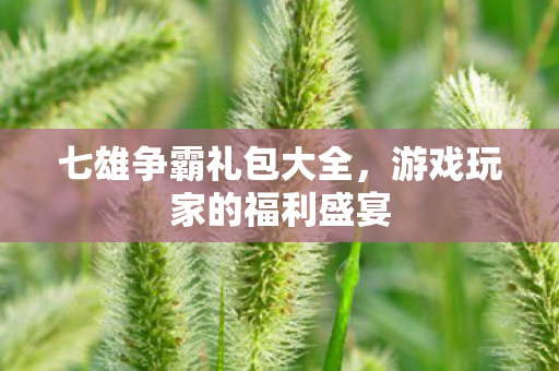 七雄争霸礼包大全，游戏玩家的福利盛宴