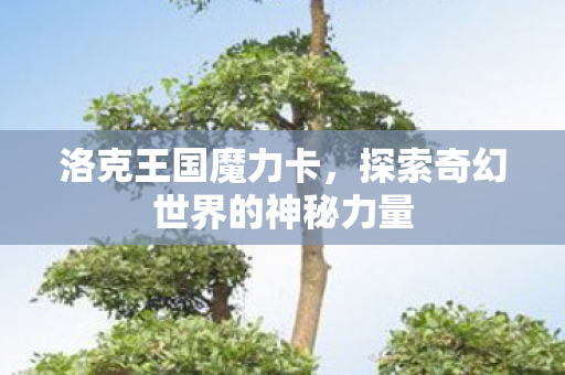 洛克王国魔力卡,探索奇幻世界的神秘力量 洛克王国魔力卡,探索奇幻世界的神秘力量
