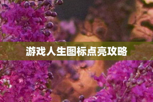 游戏人生图标点亮攻略 游戏人生图标点亮攻略
