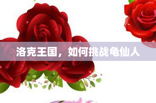 洛克王国,如何挑战龟仙人 洛克王国,如何挑战龟仙人
