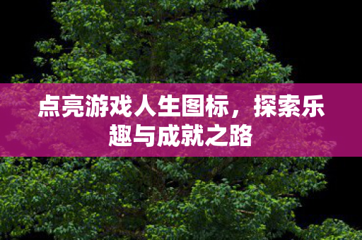 点亮游戏人生图标,探索乐趣与成就之路 点亮游戏人生图标,探索乐趣与成就之路