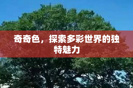奇奇色,探索多彩世界的独特魅力 奇奇色,探索多彩世界的独特魅力