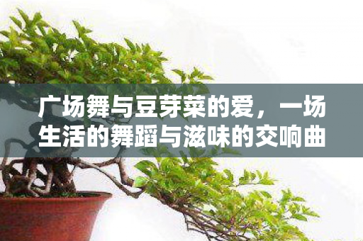 广场舞与豆芽菜的爱,一场生活的舞蹈与滋味的交响曲 广场舞与豆芽菜的爱,一场生活的舞蹈与滋味的交响曲