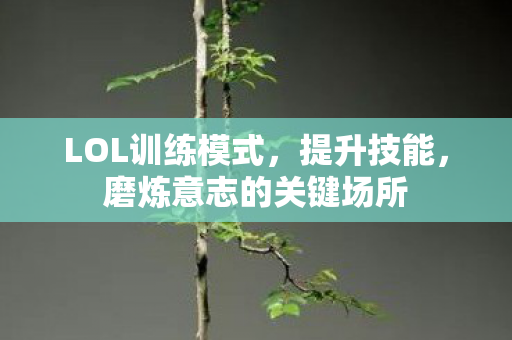 LOL训练模式,提升技能,磨炼意志的关键场所 LOL训练模式,提升技能,磨炼意志的关键场所