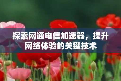 探索网通电信加速器,提升网络体验的关键技术 探索网通电信加速器,提升网络体验的关键技术