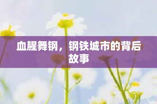 血腥舞钢，钢铁城市的背后故事