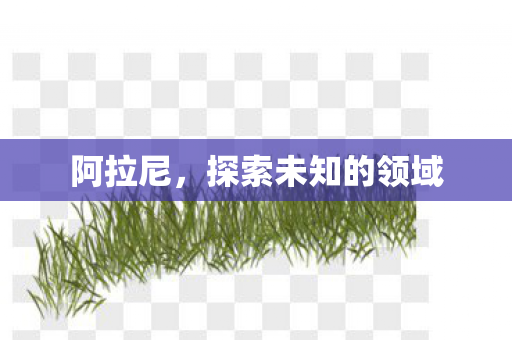 阿拉尼,探索未知的领域 阿拉尼,探索未知的领域