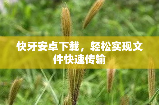 快牙安卓下载,轻松实现文件快速传输 快牙安卓下载,轻松实现文件快速传输