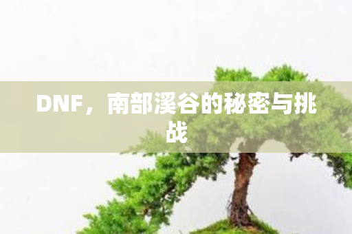 DNF，南部溪谷的秘密与挑战