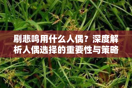 刷悲鸣用什么人偶?深度解析人偶选择的重要性与策略 刷悲鸣用什么人偶?深度解析人偶选择的重要性与策略