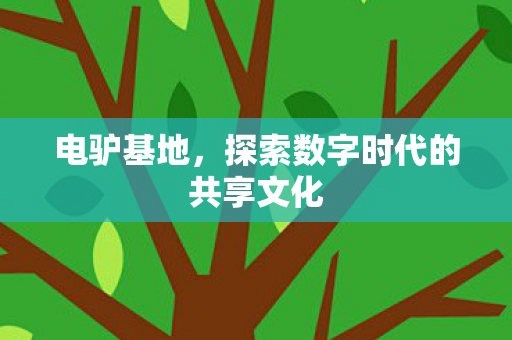 电驴基地，探索数字时代的共享文化