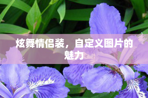 炫舞情侣装,自定义图片的魅力 炫舞情侣装,自定义图片的魅力