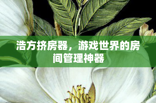 浩方挤房器,游戏世界的房间管理神器 浩方挤房器,游戏世界的房间管理神器