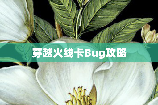 穿越火线卡Bug攻略 穿越火线卡Bug攻略