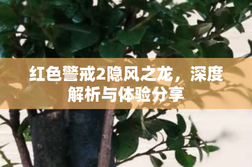 红色警戒2隐风之龙,深度解析与体验分享 红色警戒2隐风之龙,深度解析与体验分享