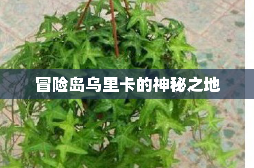 冒险岛乌里卡的神秘之地 冒险岛乌里卡的神秘之地