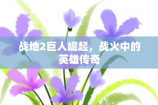 战地2巨人崛起,战火中的英雄传奇 战地2巨人崛起,战火中的英雄传奇
