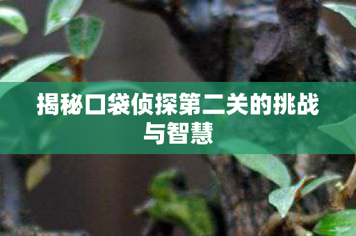 揭秘口袋侦探第二关的挑战与智慧 揭秘口袋侦探第二关的挑战与智慧