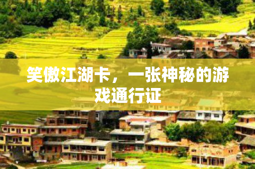 笑傲江湖卡,一张神秘的游戏通行证 笑傲江湖卡,一张神秘的游戏通行证