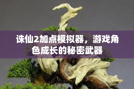 诛仙2加点模拟器,游戏角色成长的秘密武器 诛仙2加点模拟器,游戏角色成长的秘密武器