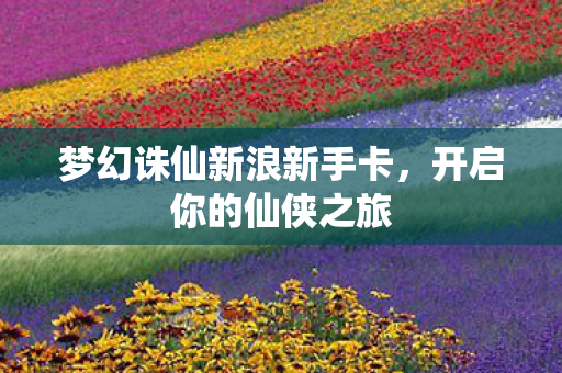 梦幻诛仙新浪新手卡,开启你的仙侠之旅 梦幻诛仙新浪新手卡,开启你的仙侠之旅
