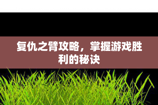 复仇之臂攻略,掌握游戏胜利的秘诀 复仇之臂攻略,掌握游戏胜利的秘诀