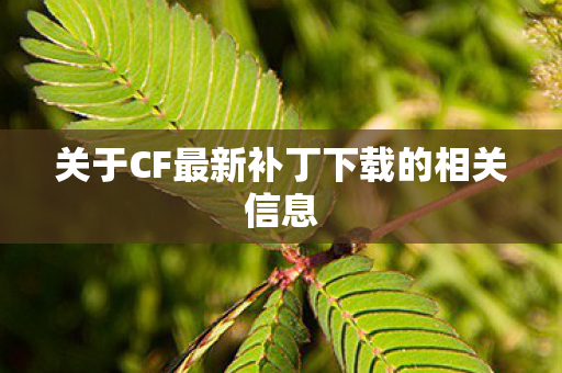 关于CF最新补丁下载的相关信息 关于CF最新补丁下载的相关信息