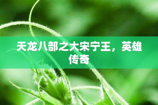 天龙八部之大宋宁王,英雄传奇 天龙八部之大宋宁王,英雄传奇