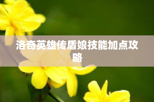 洛奇英雄传盾娘技能加点攻略