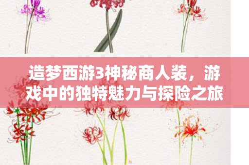 造梦西游3神秘商人装，游戏中的独特魅力与探险之旅