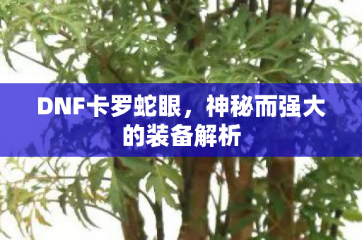 DNF卡罗蛇眼,神秘而强大的装备解析 DNF卡罗蛇眼,神秘而强大的装备解析