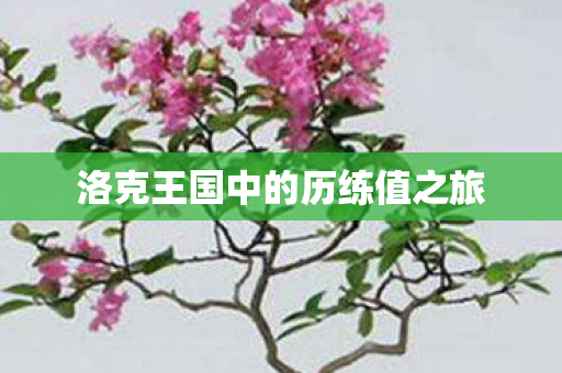 洛克王国中的历练值之旅 洛克王国中的历练值之旅