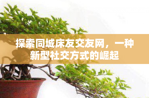 探索同城床友交友网,一种新型社交方式的崛起 探索同城床友交友网,一种新型社交方式的崛起