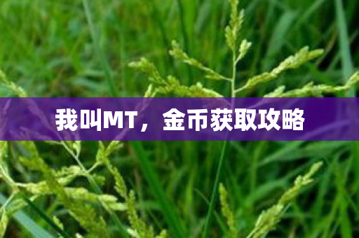 我叫MT,金币获取攻略 我叫MT,金币获取攻略