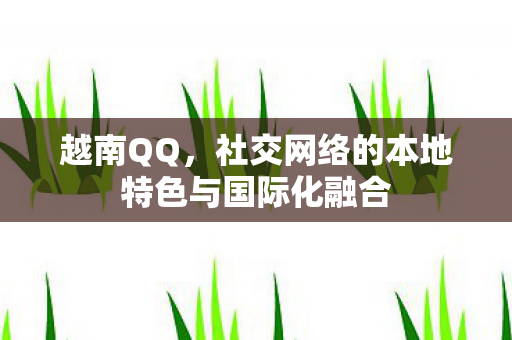越南QQ,社交网络的本地特色与国际化融合 越南QQ,社交网络的本地特色与国际化融合