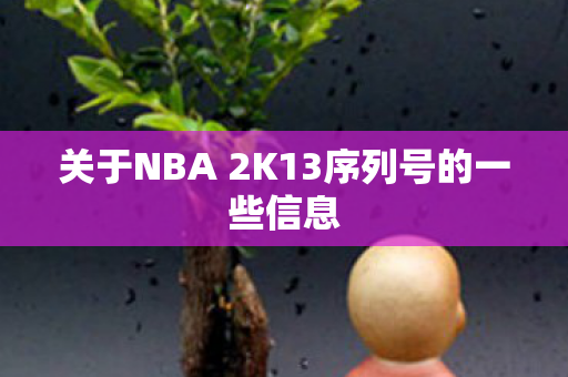 关于NBA 2K13序列号的一些信息 关于NBA 2K13序列号的一些信息