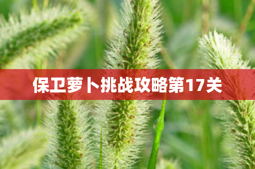 保卫萝卜挑战攻略第17关 保卫萝卜挑战攻略第17关