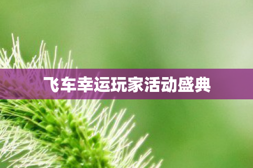 飞车幸运玩家活动盛典 飞车幸运玩家活动盛典