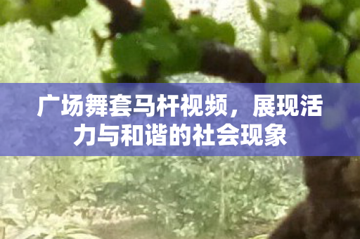 广场舞套马杆视频，展现活力与和谐的社会现象