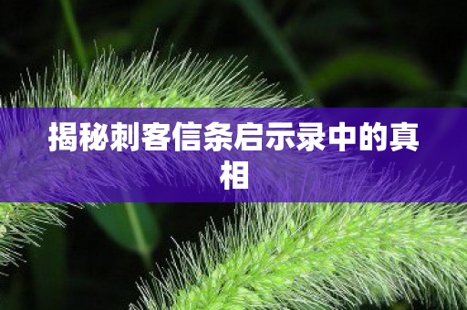 揭秘刺客信条启示录中的真相