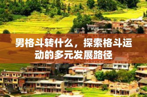 男格斗转什么,探索格斗运动的多元发展路径 男格斗转什么,探索格斗运动的多元发展路径