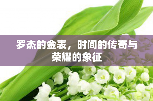 罗杰的金表,时间的传奇与荣耀的象征 罗杰的金表,时间的传奇与荣耀的象征