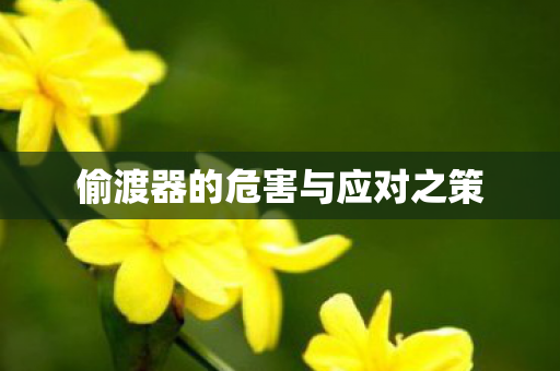 偷渡器的危害与应对之策 偷渡器的危害与应对之策