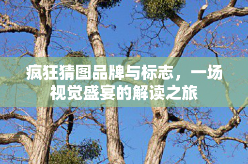 疯狂猜图品牌与标志，一场视觉盛宴的解读之旅