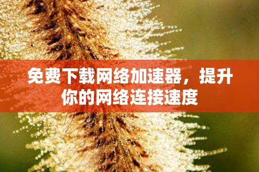 免费下载网络加速器,提升你的网络连接速度 免费下载网络加速器,提升你的网络连接速度