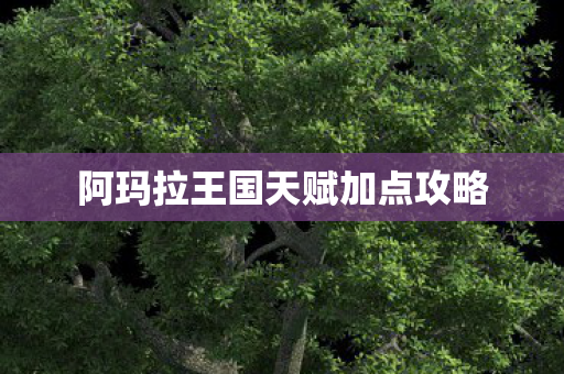 阿玛拉王国天赋加点攻略 阿玛拉王国天赋加点攻略