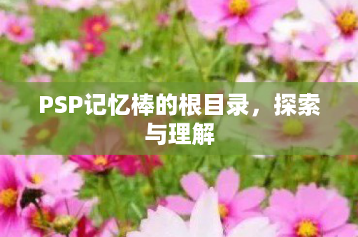 PSP记忆棒的根目录,探索与理解 PSP记忆棒的根目录,探索与理解