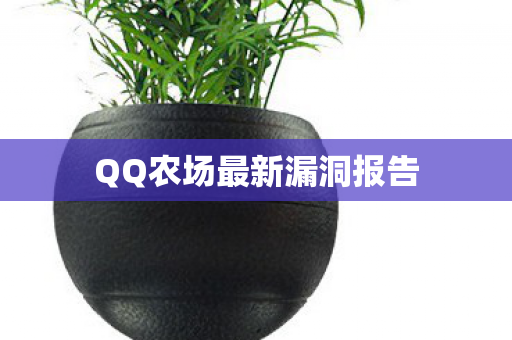 QQ农场最新漏洞报告