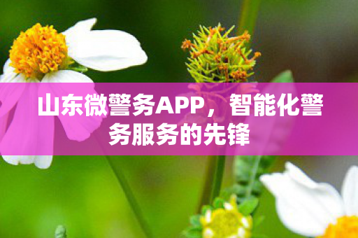 山东微警务APP,智能化警务服务的先锋 山东微警务APP,智能化警务服务的先锋